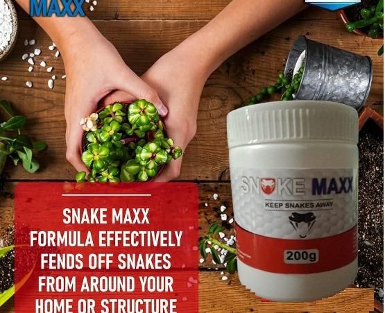 Snake Maxx Non-Toxic Biodegradable Pet-Friendly Snake Repellent Powder 200g  (Pack of 2)